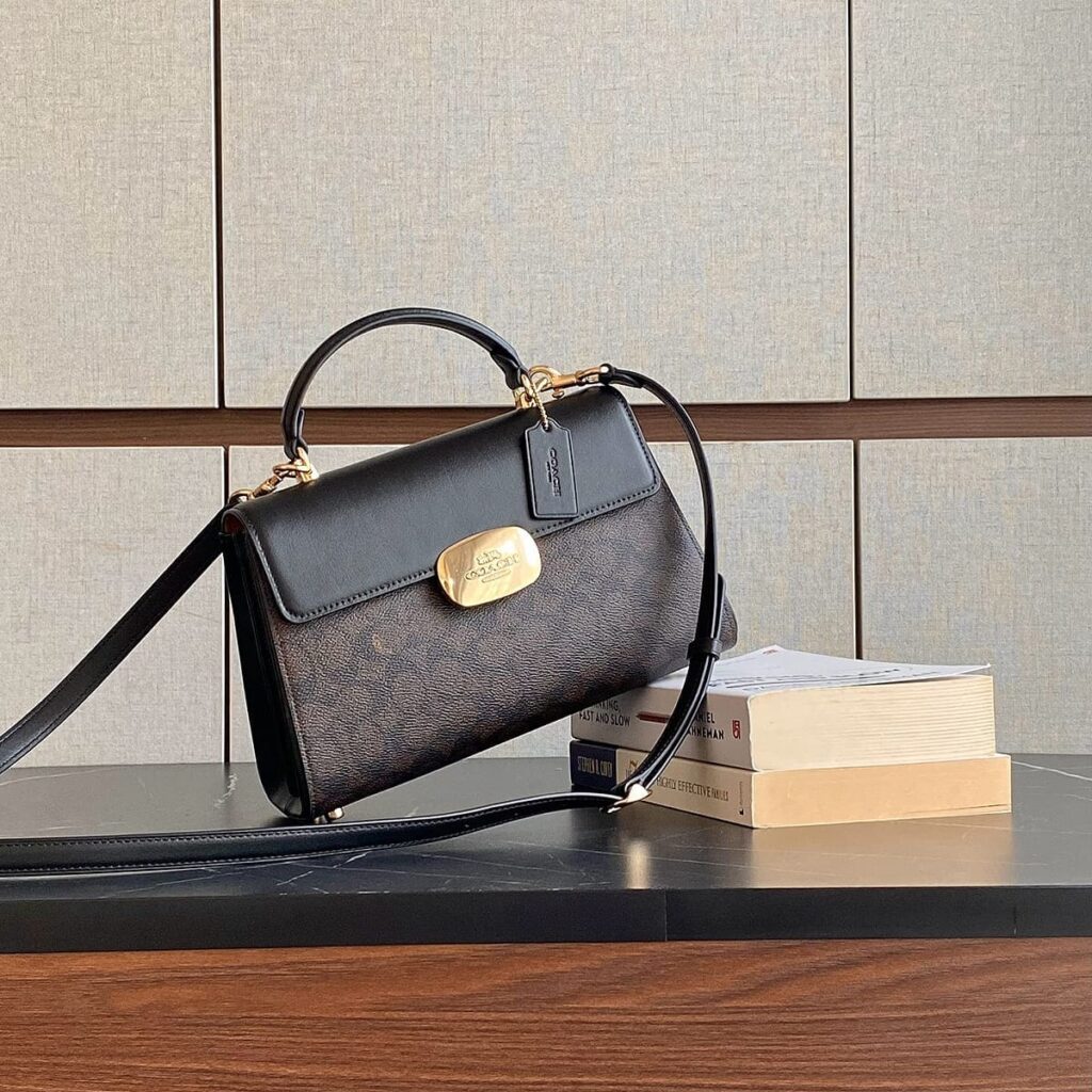 Original Outlet Coach Gold – Brown Black Women Handbag CW012